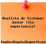 Analista de Sistemas Junior (Sin experiencia)