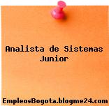 Analista de Sistemas Junior