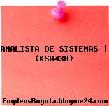ANALISTA DE SISTEMAS | (KSW430)