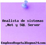 Analista de sistemas .Net y SQL Server