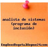 analista de sistemas (programa de inclusión)