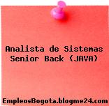 Analista de Sistemas Senior Back (JAVA)