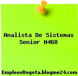 Analista De Sistemas Senior M468