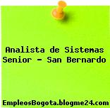 Analista de Sistemas Senior – San Bernardo