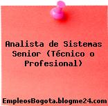 Analista de Sistemas Senior (Técnico o Profesional)