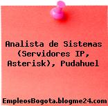 Analista de Sistemas (Servidores IP, Asterisk), Pudahuel