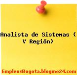 Analista de Sistemas ( V Región)