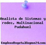 Analista de Sistemas y redes, Multinacional Pudahuel