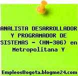 ANALISTA DESARROLLADOR Y PROGRAMADOR DE SISTEMAS – (HN-306) en Metropolitana Y