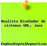 Analista Diseñador de sistemas UML, Java