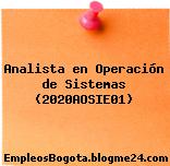 Analista en Operación de Sistemas (2020AOSIE01)