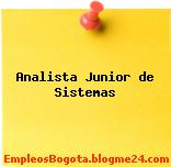 Analista Junior de Sistemas