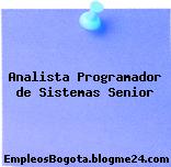 Analista Programador de Sistemas Senior