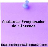 ANALISTA / PROGRAMADOR DE SISTEMAS