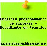 Analista programador/a de sistemas – Estudiante en Practica