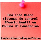 Analista Repro Sistemas de Control (Puerto Montt) en Comuna de Concepción