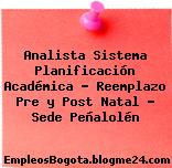 Analista Sistema Planificación Académica – Reemplazo Pre y Post Natal – Sede Peñalolén