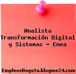 Analista Transformación Digital y Sistemas – Enea