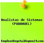 Analistas de Sistemas (PUDAHUEL)