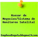 Asesor de Negocios/Sistema de Monitoreo Satelital