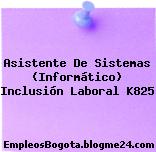 Asistente De Sistemas (Informático) Inclusión Laboral K825