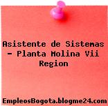 Asistente de Sistemas – Planta Molina Vii Region