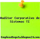 Auditor Corporativo de Sistemas TI