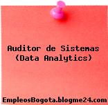 Auditor de Sistemas (Data Analytics)