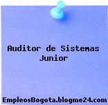 Auditor de Sistemas Junior