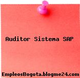 Auditor Sistema SAP