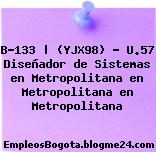 B-133 | (YJX98) – U.57 Diseñador de Sistemas en Metropolitana en Metropolitana en Metropolitana