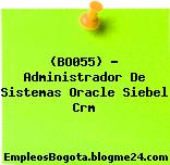 (BO055) – Administrador De Sistemas Oracle Siebel Crm