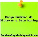 Cargo Auditor de Sistemas y Data Mining