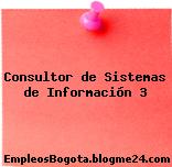 Consultor de Sistemas de Información 3