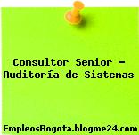 Consultor Senior – Auditoría de Sistemas