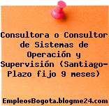 Consultora o Consultor de Sistemas de Operación y Supervisión (Santiago- Plazo fijo 9 meses)
