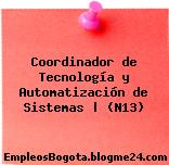 Coordinador de Tecnología y Automatización de Sistemas | (N13)