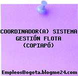 COORDINADOR(A) SISTEMA GESTIÓN FLOTA (COPIAPÓ)