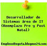 Desarrollador de Sistemas área de IT (Reemplazo Pre y Post Natal)