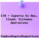 E70 – Experto En Aws, Cloud, Sistemas Operativos