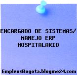 ENCARGADO DE SISTEMAS/ MANEJO ERP HOSPITALARIO