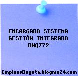 ENCARGADO SISTEMA GESTIÓN INTEGRADO BWQ772