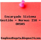 Encargado Sistema Gestión – Normas ISO – OHSAS