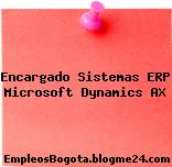 Encargado Sistemas ERP Microsoft Dynamics AX