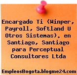 Encargado Ti (Winper, Payroll, Softland U Otros Sistemas). en Santiago, Santiago para Perceptual Consultores Ltda