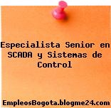 Especialista Senior en SCADA y Sistemas de Control