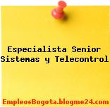 Especialista Senior Sistemas y Telecontrol