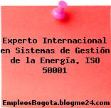 Experto Internacional en Sistemas de Gestión de la Energía. ISO 50001