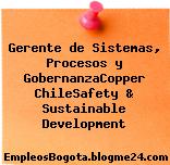 Gerente de Sistemas, Procesos y GobernanzaCopper ChileSafety & Sustainable Development