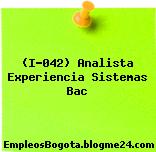 (I-042) Analista Experiencia Sistemas Bac
